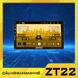ZT22